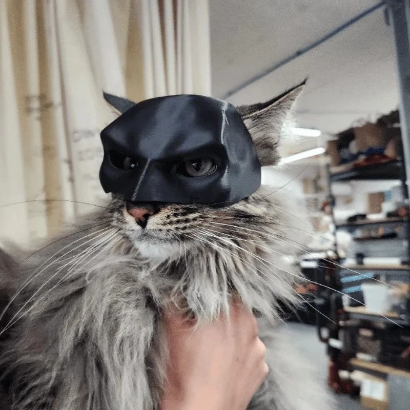หมวกคอสเพลย์ค้างคาวสำหรับแมวทำ - Cosplay Bat Prop บทวิจารณ์และราคา