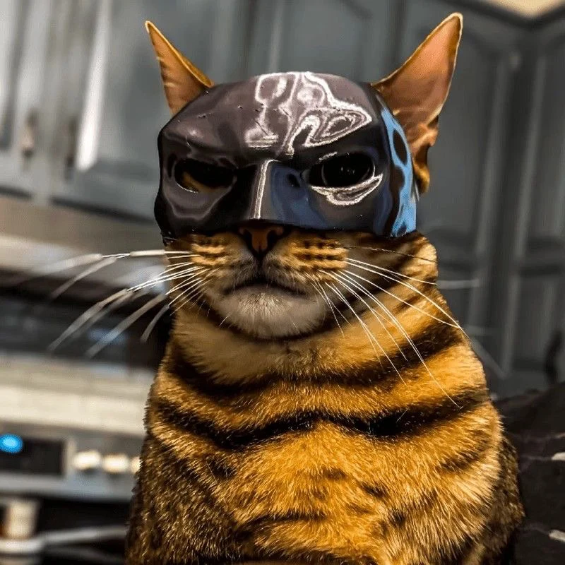 หมวกคอสเพลย์ค้างคาวสำหรับแมวทำ - Cosplay Bat Prop บทวิจารณ์และราคา