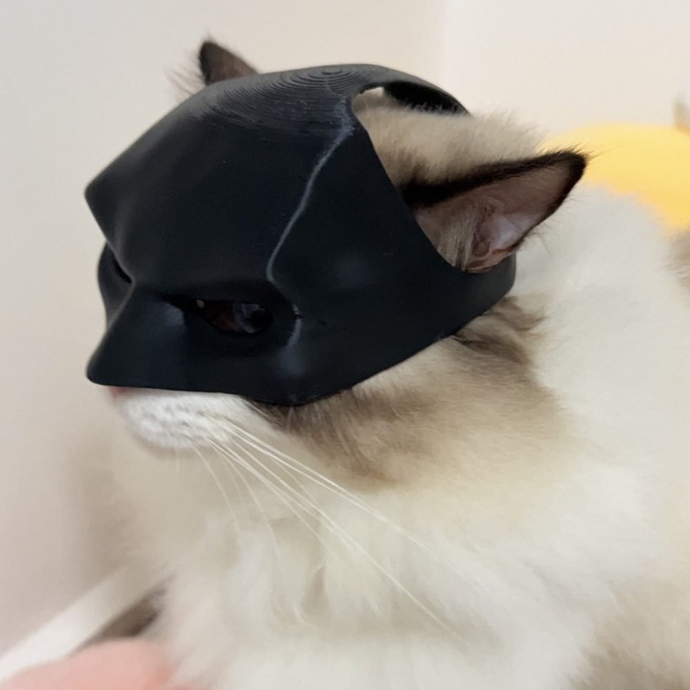หมวกคอสเพลย์ค้างคาวสำหรับแมวทำ - Cosplay Bat Prop บทวิจารณ์และราคา